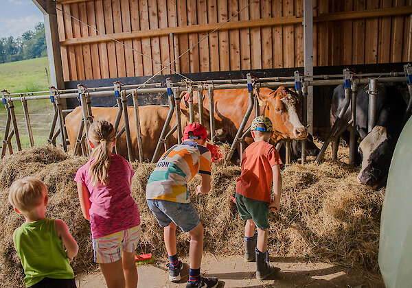 Bauernhofurlaub im Bayerischen Wald